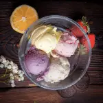 Nostalgia Ice Cream Maker Recipes