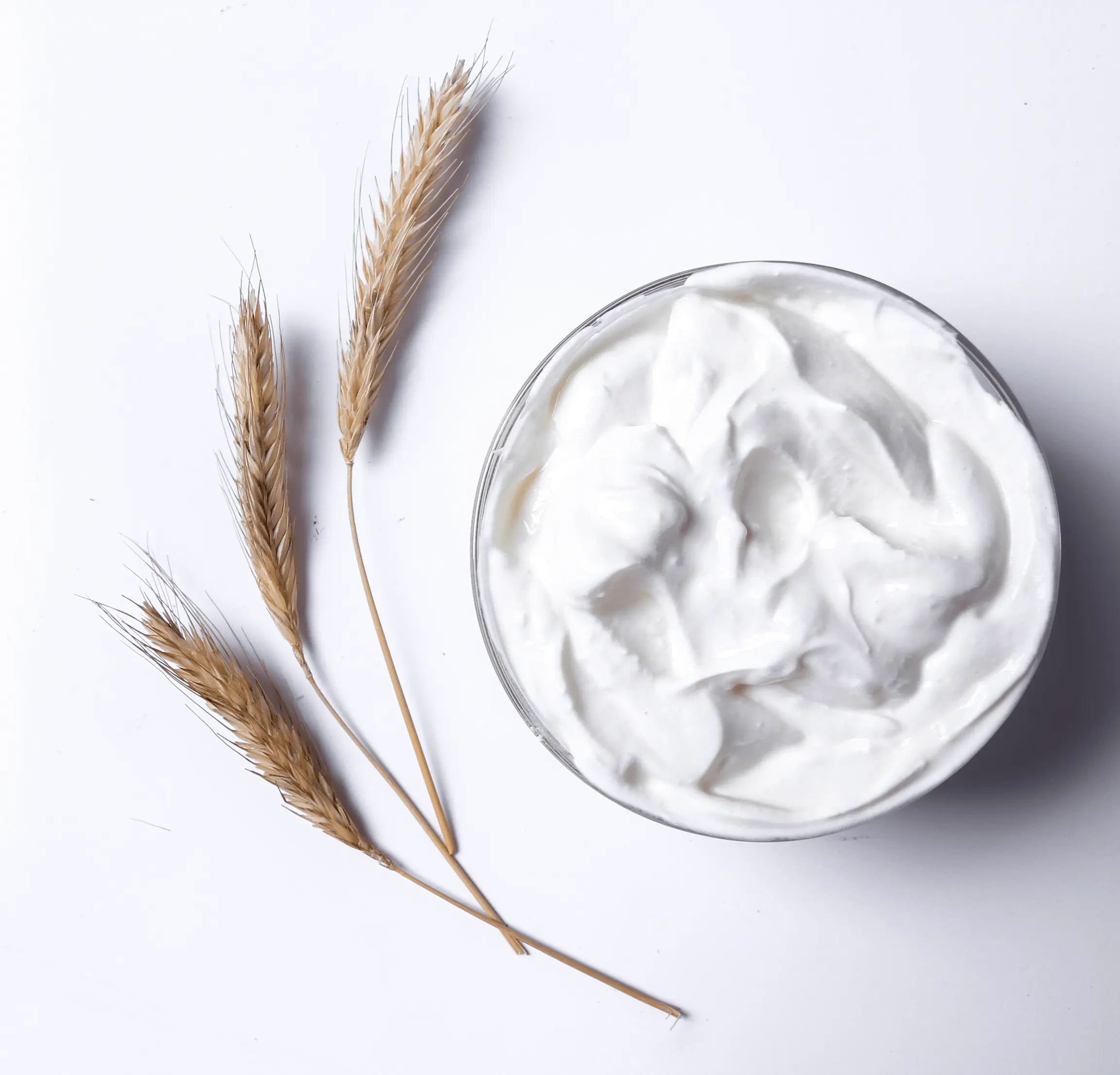 Stonyfield-Recipes-min